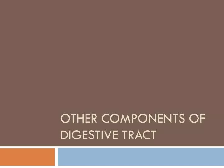 other components of digestive tract