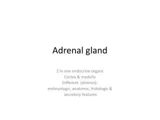 Adrenal gland
