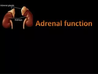 Adrenal function