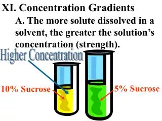 XI. Concentration Gradients