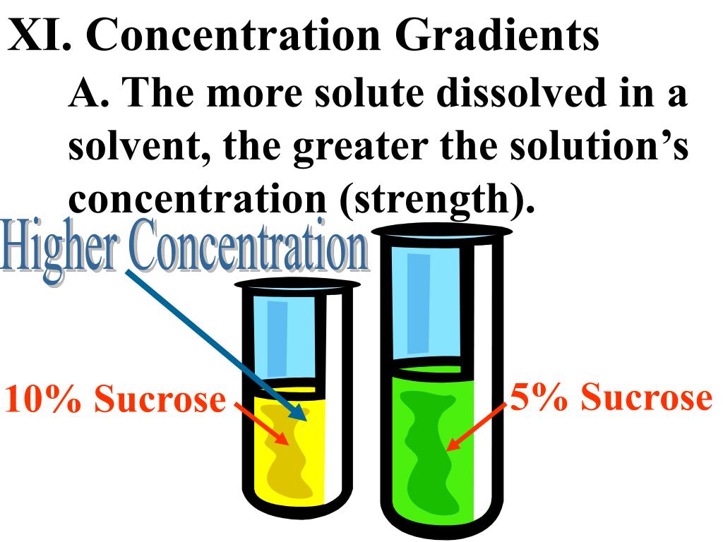 PPT - XI. Concentration Gradients PowerPoint Presentation, free ...
