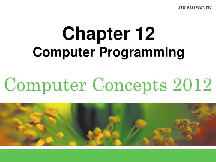 chapter 12 computer programming