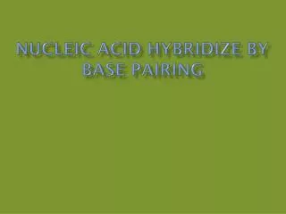 Nucleic Acid Hybridize By Base Pairing