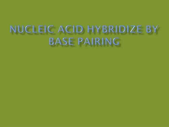nucleic acid hybridize by base pairing