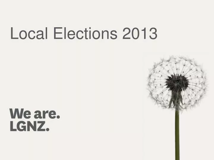 local elections 2013