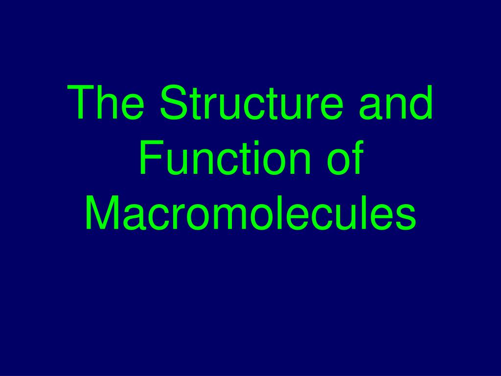 PPT - The Structure and Function of Macromolecules PowerPoint ...