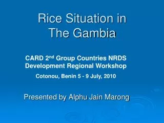 Rice Situation in The Gambia