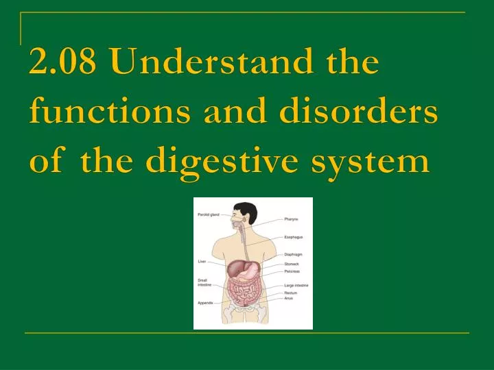 2 08 understand the functions and disorders of the digestive system