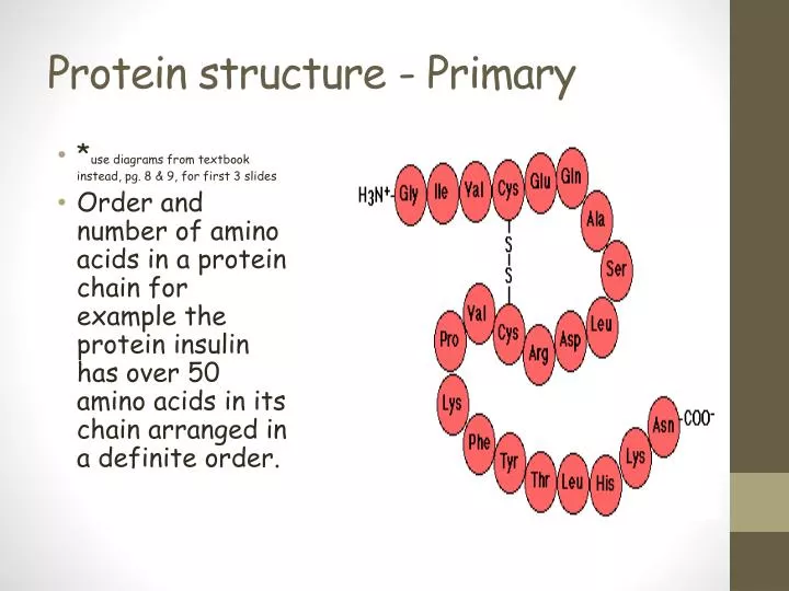 protein structure primary