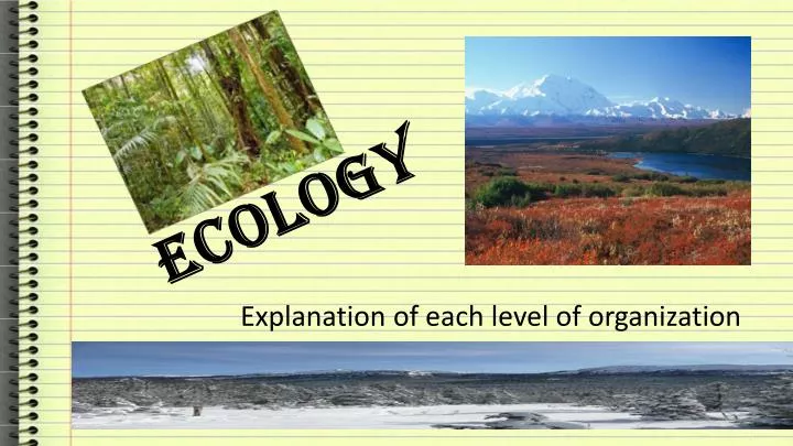 ecology