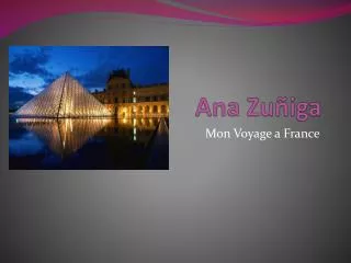 ana zu iga