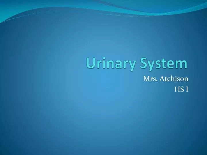 urinary system