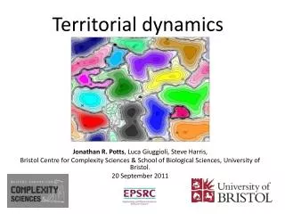 Territorial dynamics