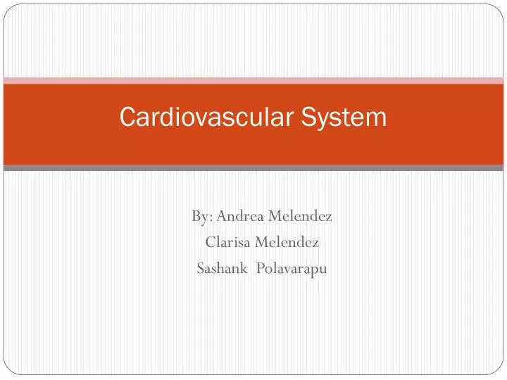 cardiovascular system