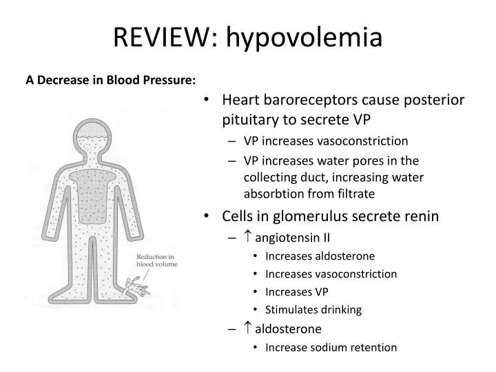 review hypovolemia