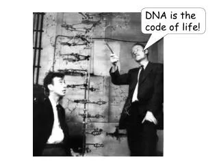 DNA is the code of life!