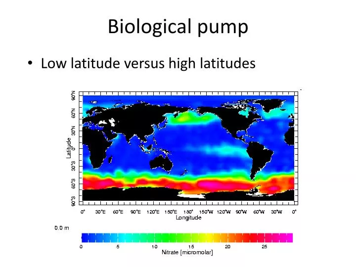 biological pump