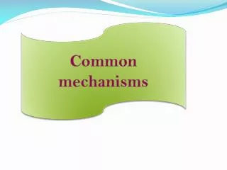 Common mechanisms