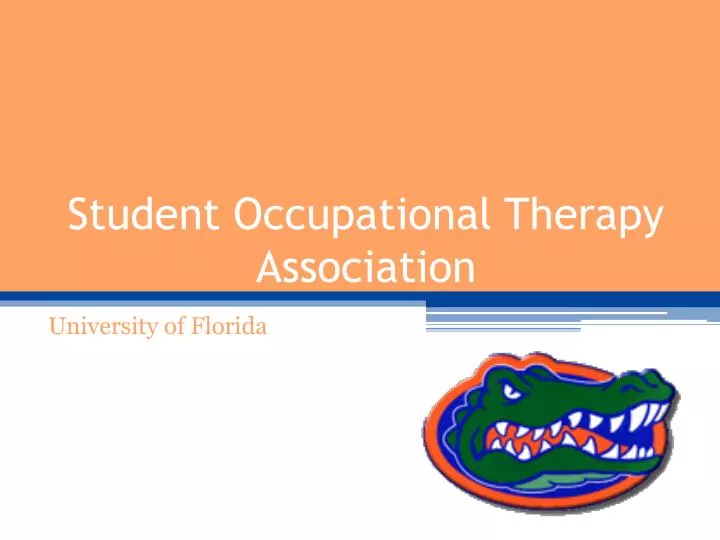 student occupational therapy association