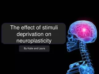 The effect of stimuli deprivation on neuroplasticity