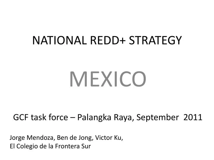 national redd strategy