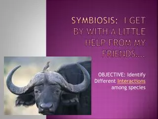 Symbiosis: I get by with a little help from my friends….