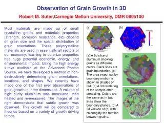 Observation of Grain Growth in 3D Robert M. Suter,Carnegie Mellon University, DMR 0805100