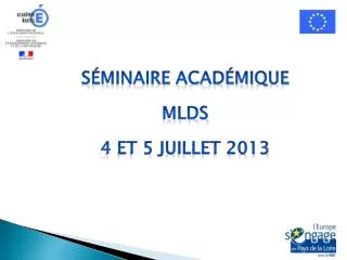 Séminaire Académique MLDS 4 et 5 juillet 2013