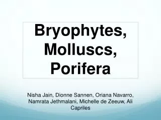 Bryophytes, Molluscs , Porifera