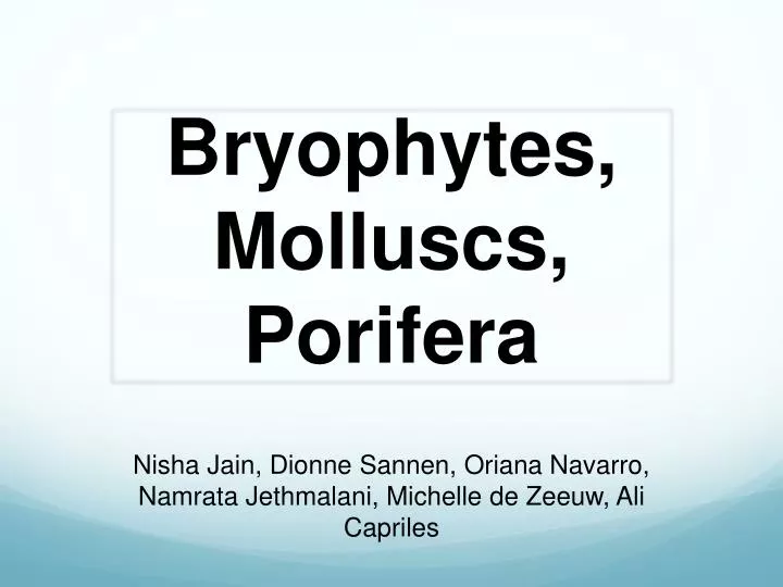 bryophytes molluscs porifera