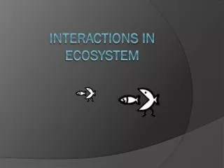 Interactions in ecosystem