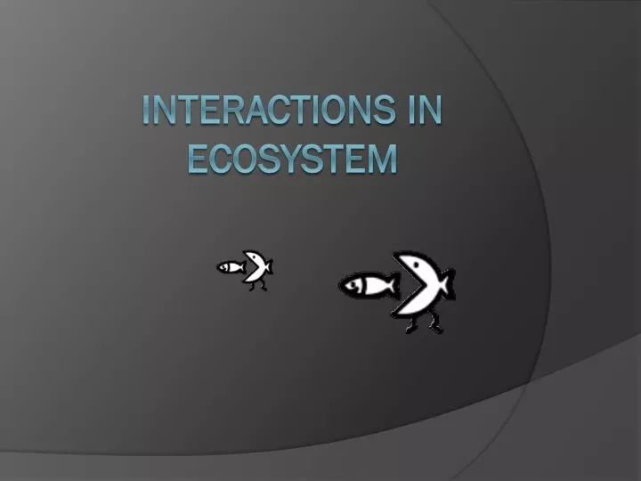 interactions in ecosystem