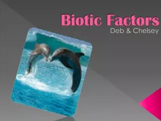 Biotic Factors