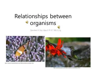 Relationships between organisms