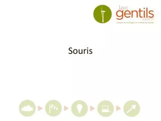 souris