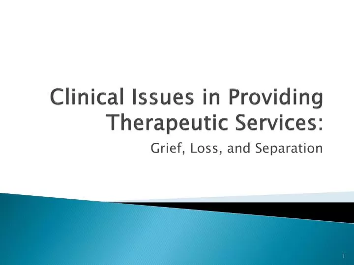 clinical issues in providing therapeutic services
