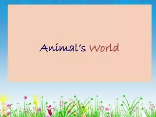 Animal’s World