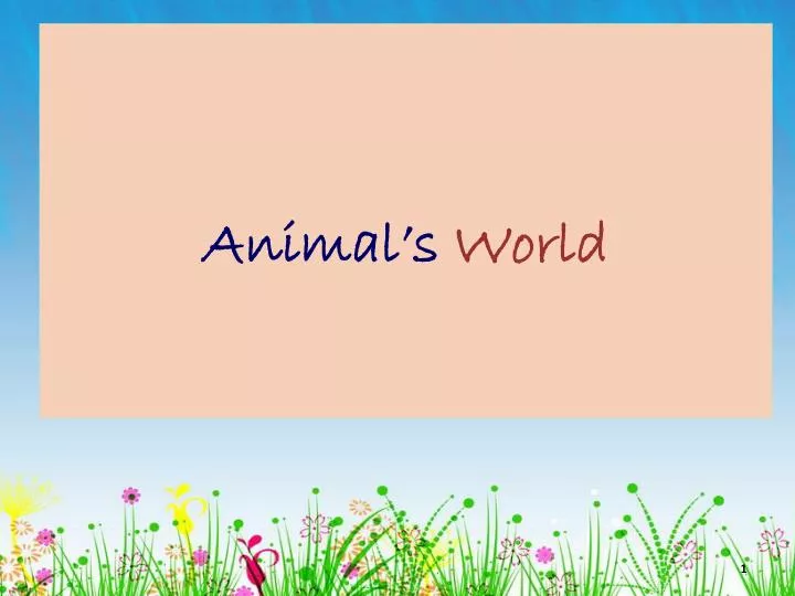 animal s world