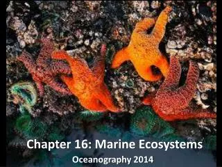 Chapter 16: Marine Ecosystems