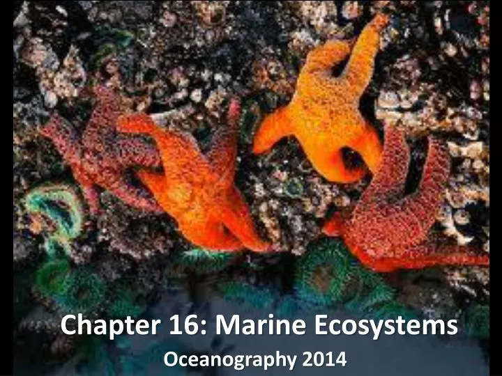 chapter 16 marine ecosystems