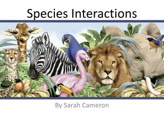 Species Interactions