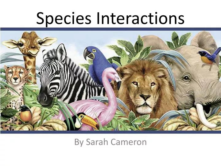species interactions