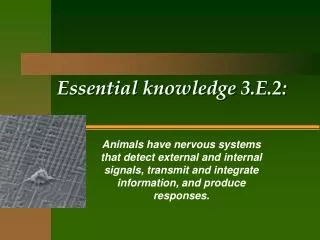Essential knowledge 3.E.2: