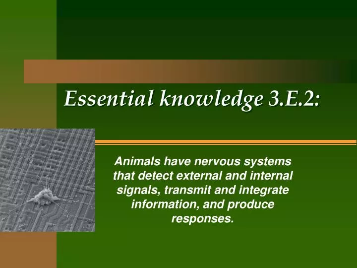essential knowledge 3 e 2