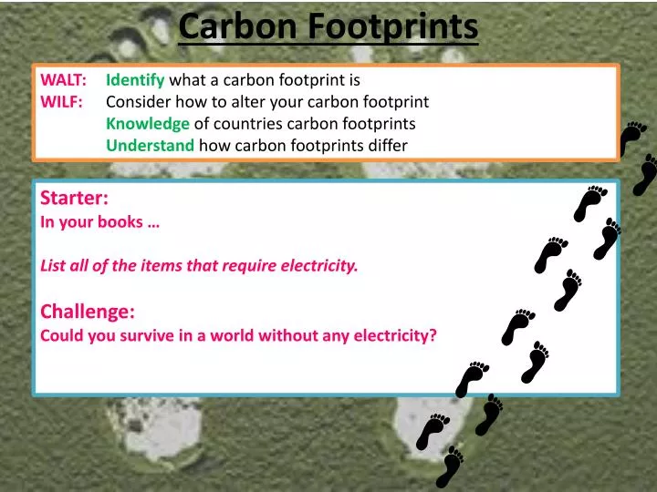 carbon footprints