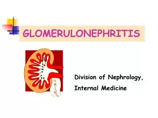 GLOMERULONEPHRITIS