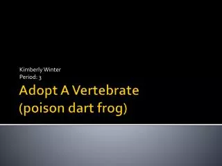 Adopt A Vertebrate (poison dart frog)