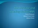 XML Storage and Indexing Native XML - slide 1