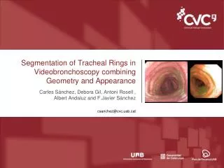 Segmentation of Tracheal Rings in Videobronchoscopy combining Geometry and Appearance