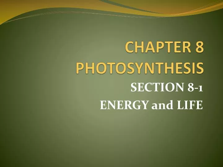 chapter 8 photosynthesis